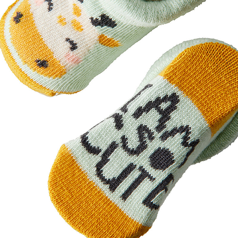 Apollo Babies Dschungel-Geschenkbox
