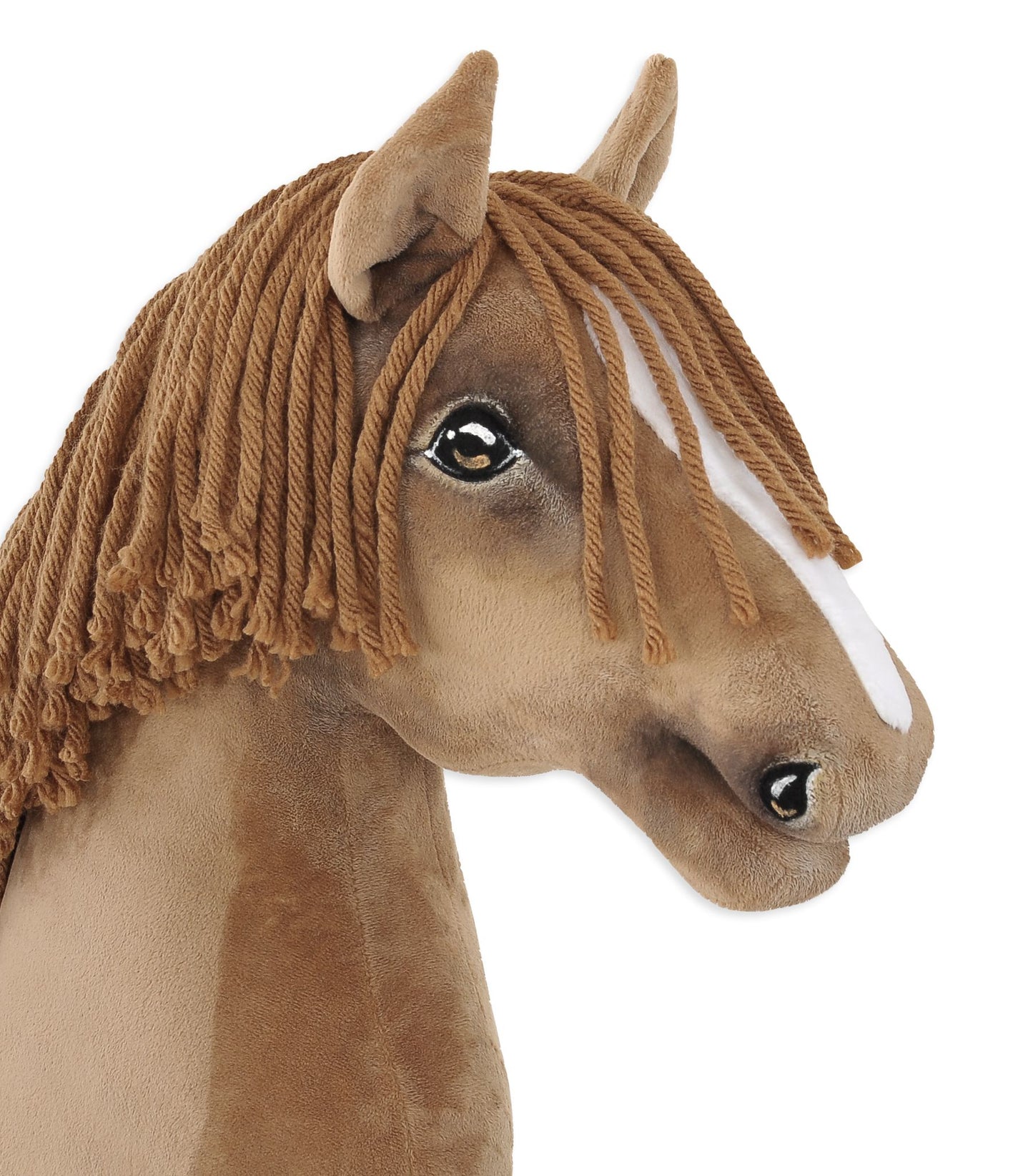 HORSE-14-A3