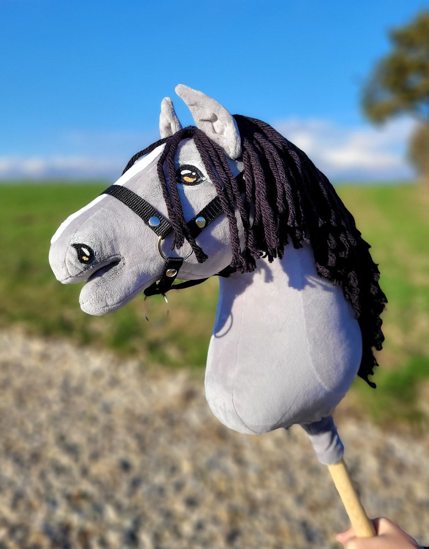 HORSE-22-A3