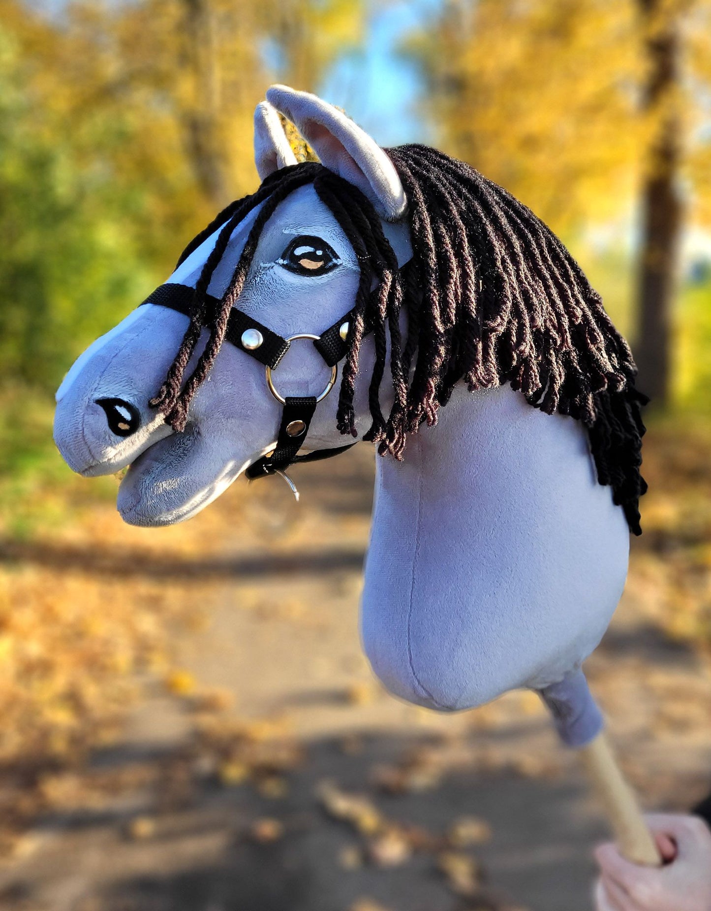 HORSE-22-A3