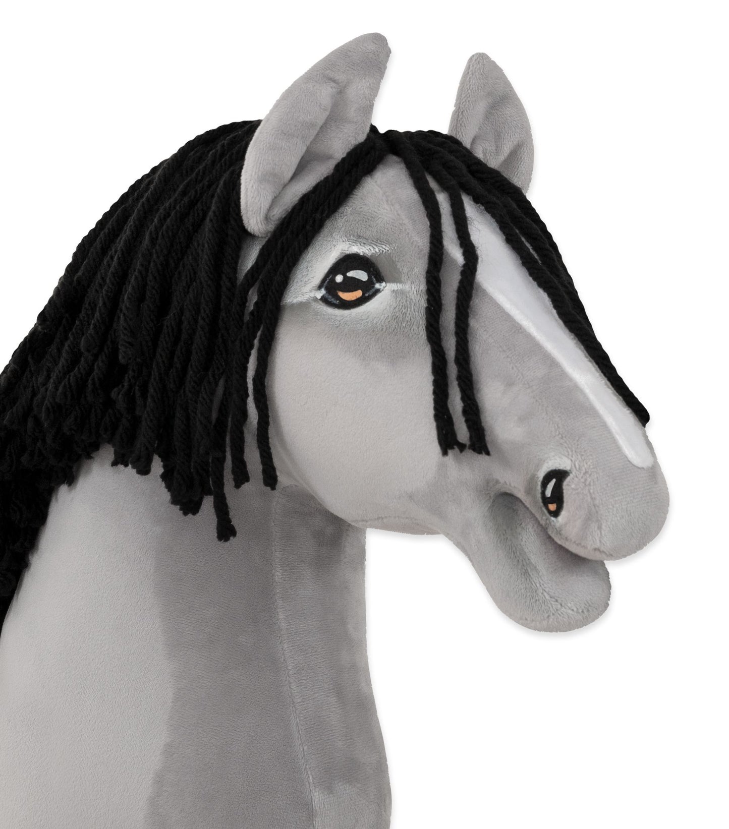 HORSE-22-A3