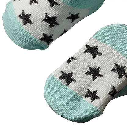 Apollo Babies Wald-Geschenkbox