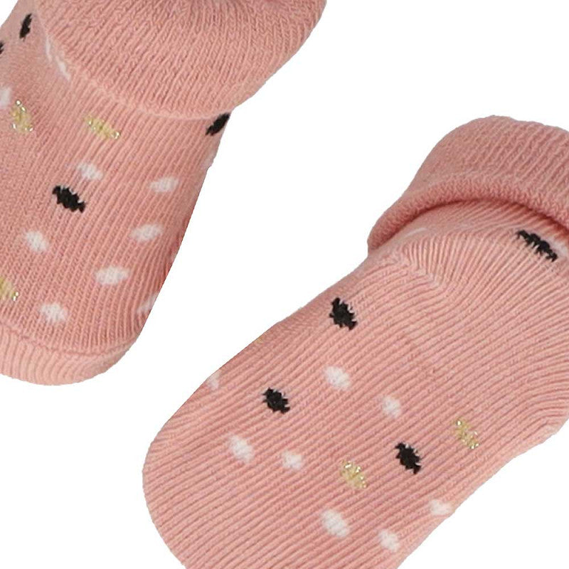 Apollo Babys Geschenkbox Hase