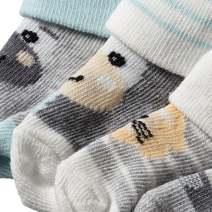 Apollo Neugeborenen-Socken, Geschenkbox, 4er-Pack