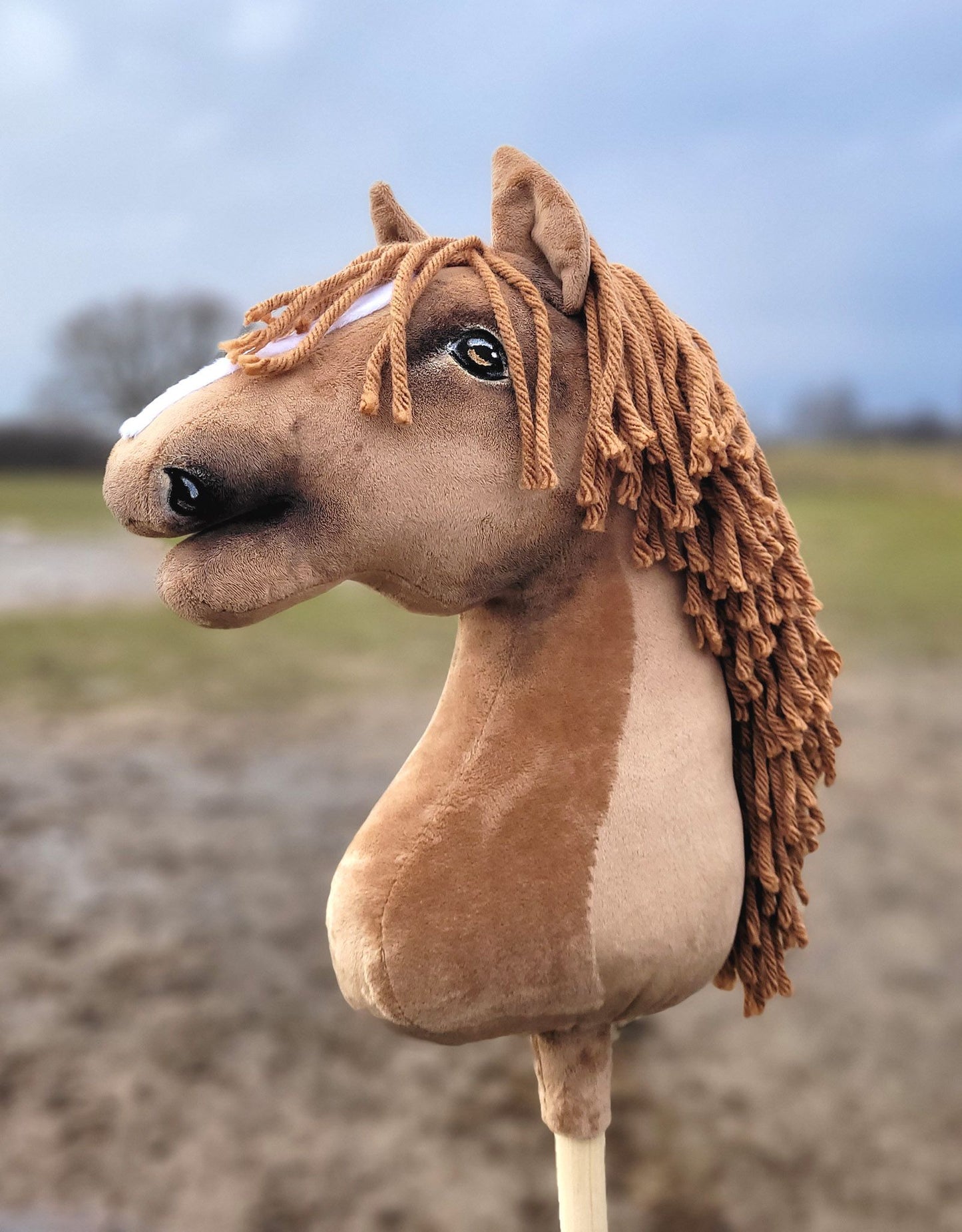 HORSE-14-A3