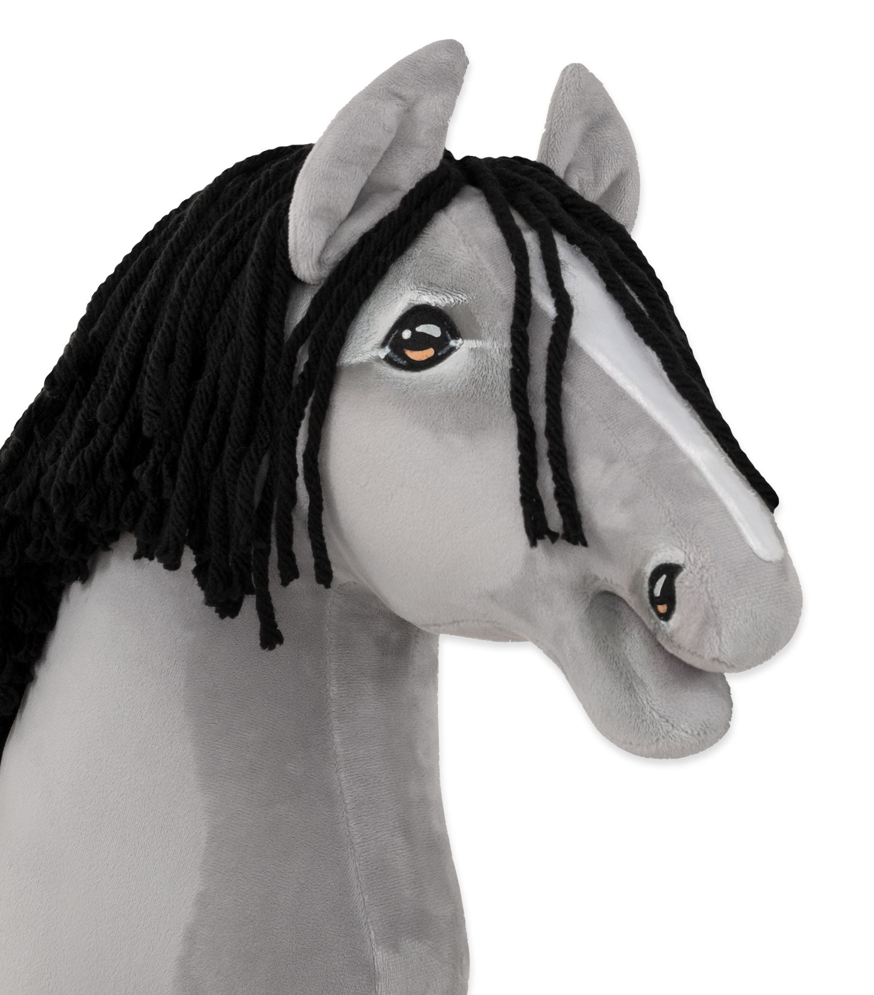 HORSE-22-A3